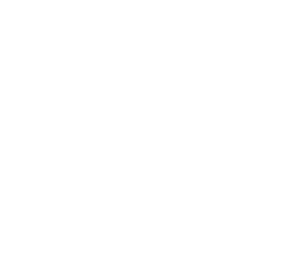 deichmann_weiss