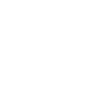 dfb_weiss