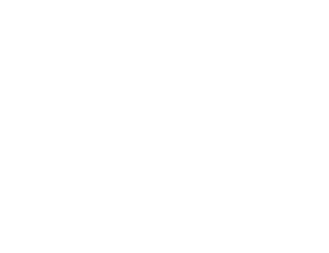 dfl_weiss