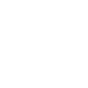 lidl_weiss